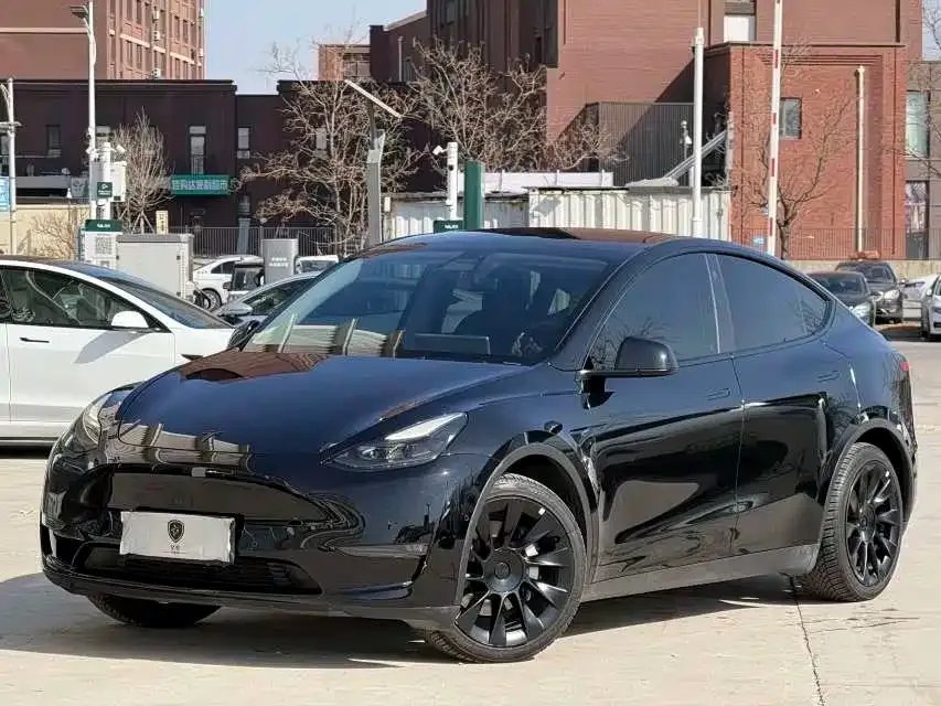 Tesla Model Y 2021 из CN, фото 1