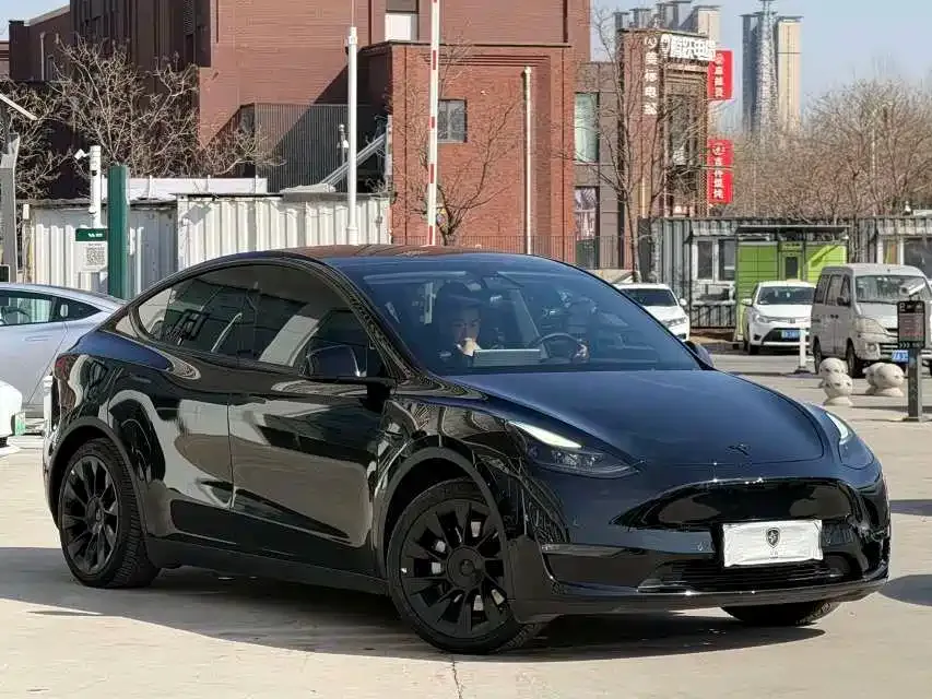 Tesla Model Y 2021 из CN, фото 6