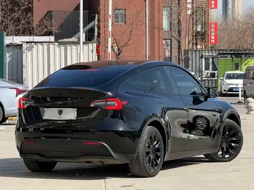 Tesla Model Y 2021 из CN, фото 5
