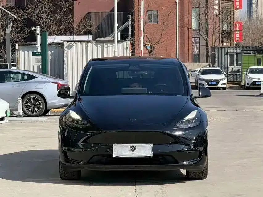 Tesla Model Y 2021 из CN, фото 7