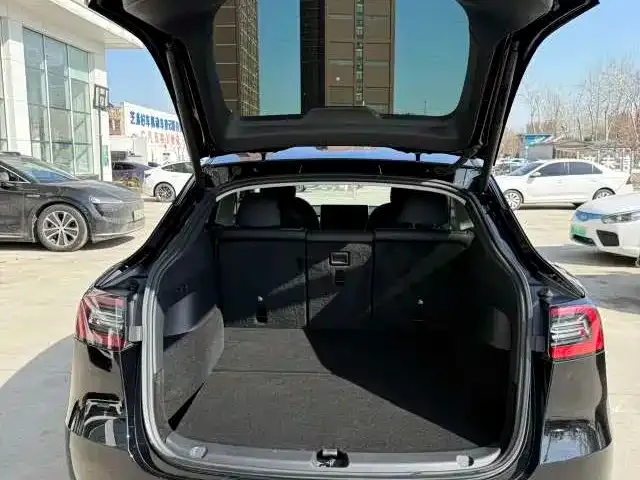 Tesla Model Y 2021 из CN, фото 8