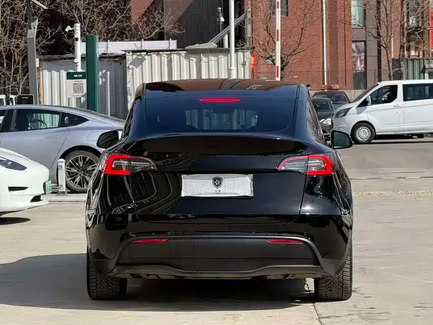 Tesla Model Y 2021 из CN, фото 4