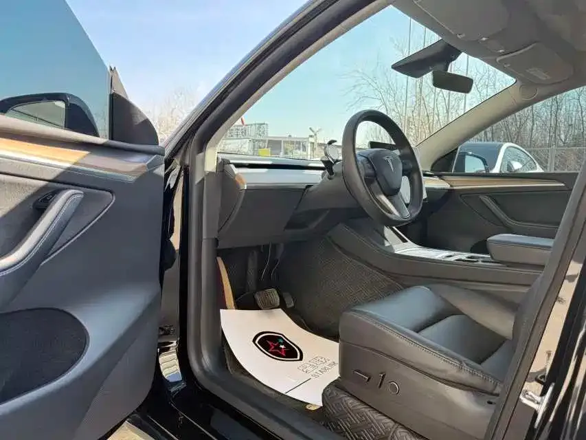 Tesla Model Y 2021 из CN, фото 10