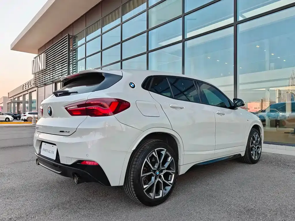 BMW X2 2021 из CN, фото 6