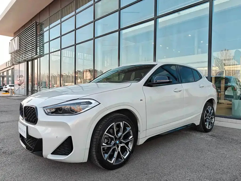 BMW X2 2021 из CN, фото 4