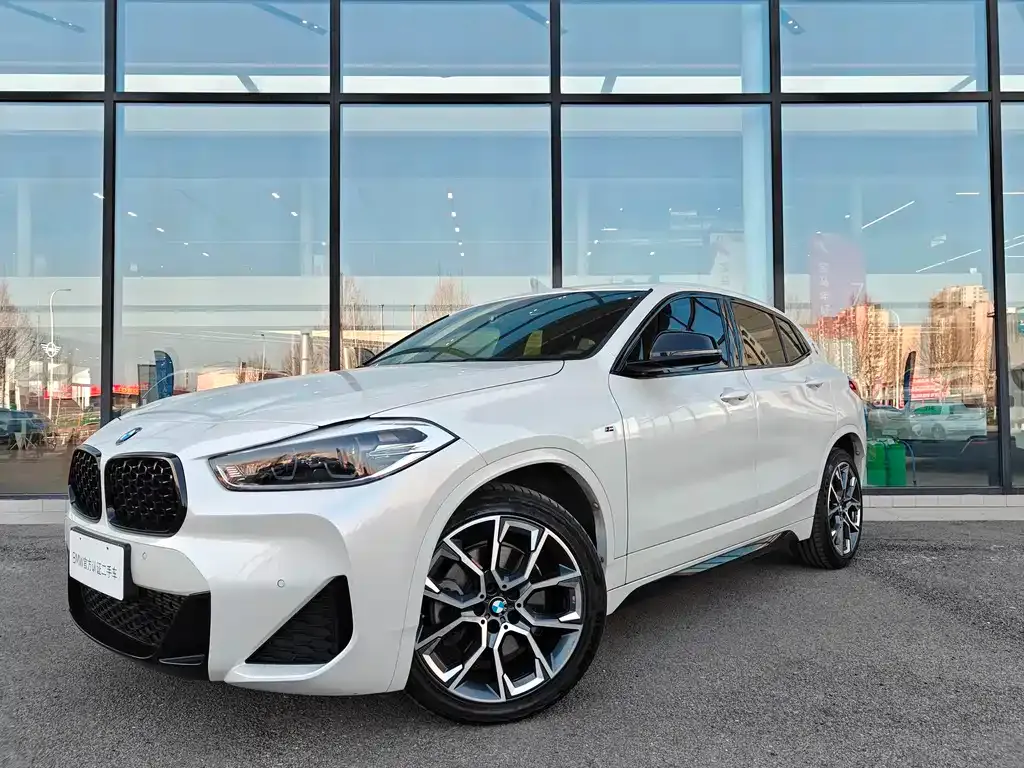 BMW X2 2021 из CN, фото 8