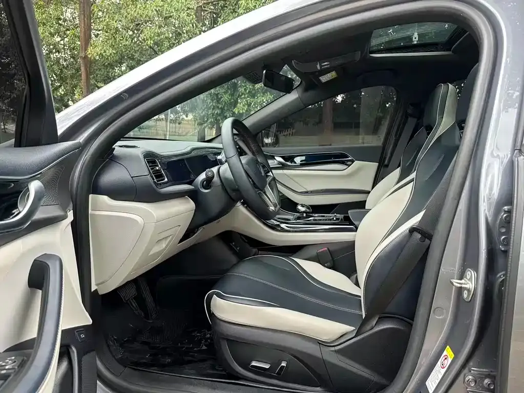 BYD Qin PLUS 2023 из CN, фото 2