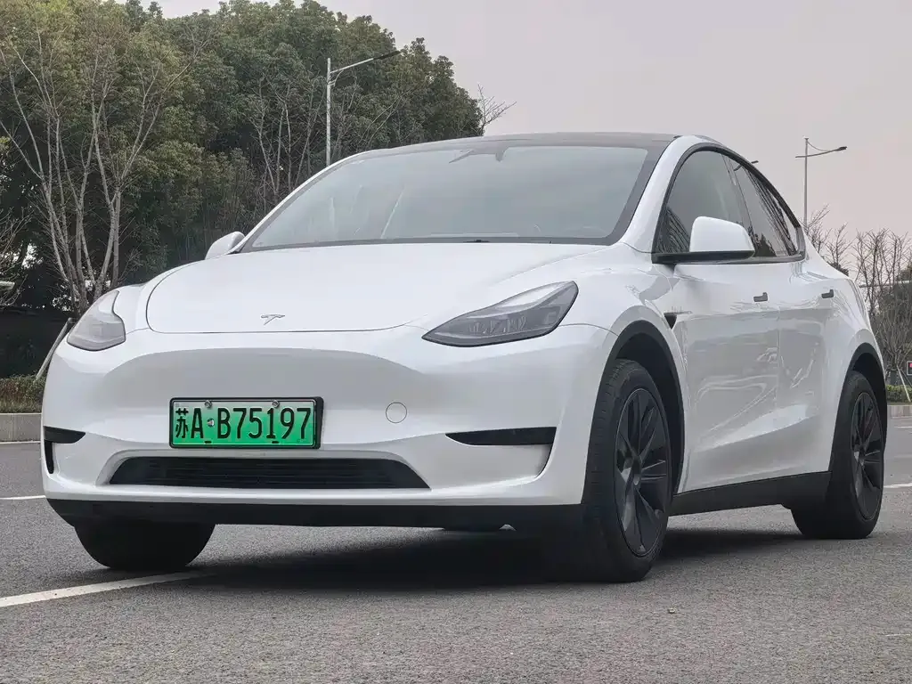 Tesla Model Y — фото 1