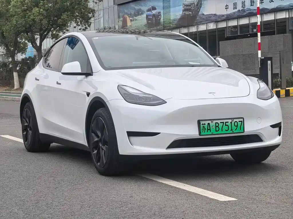 Tesla Model Y — фото 8