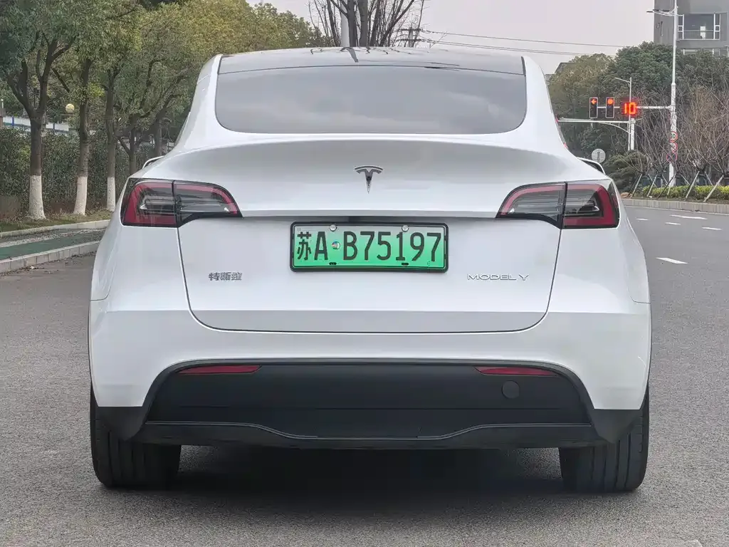 Tesla Model Y — фото 3