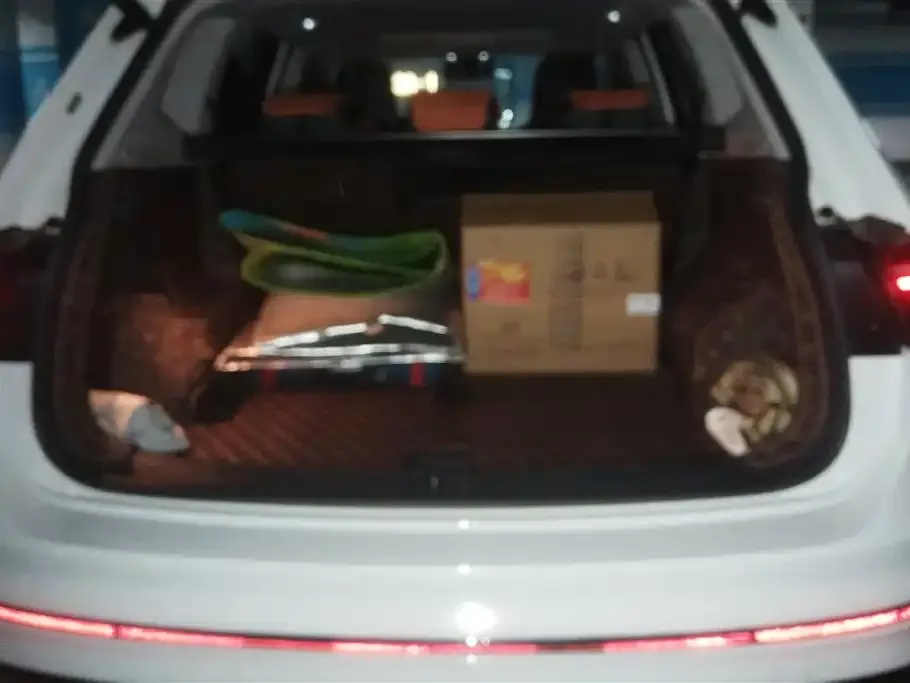 Volkswagen Tiguan L 2024 из CN, фото 3