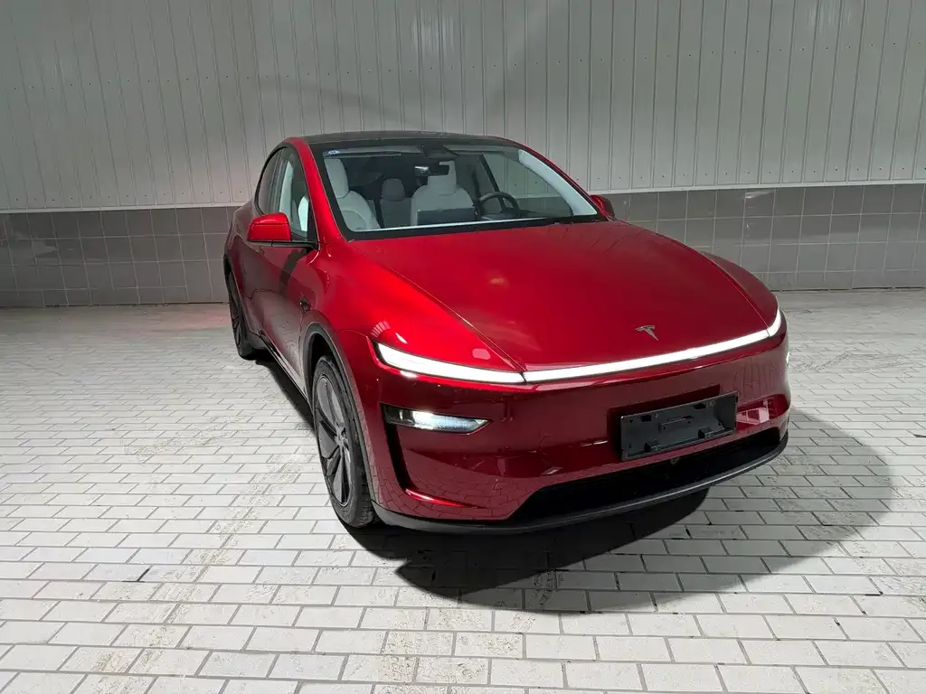 Tesla Model Y — фото 9
