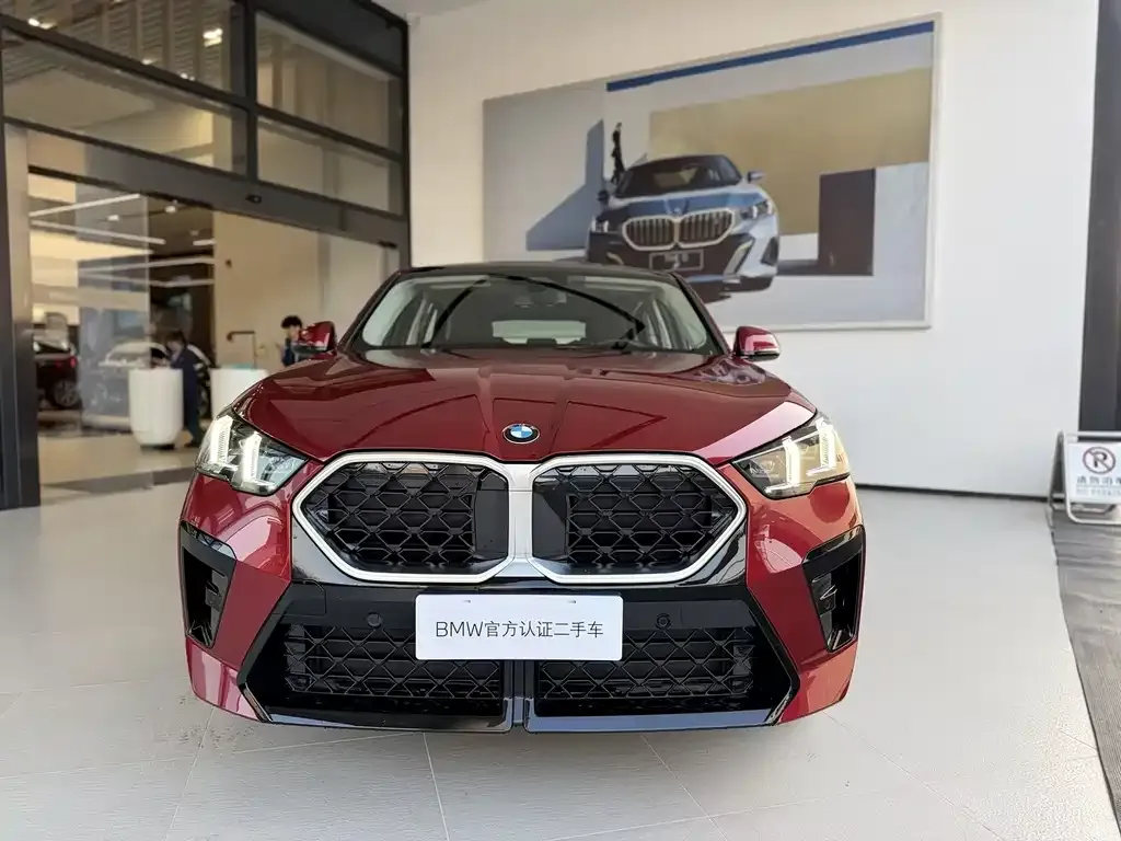 BMW X2 (Import) 2025 из CN, фото 7