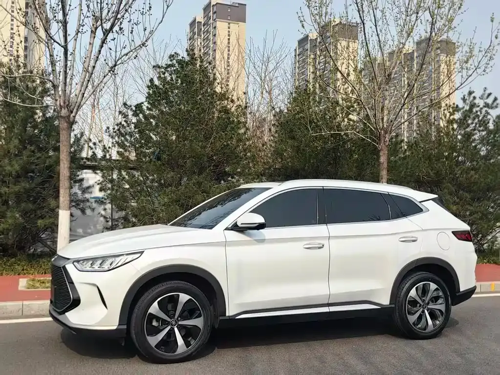 BYD PLUS New Energy — фото 1