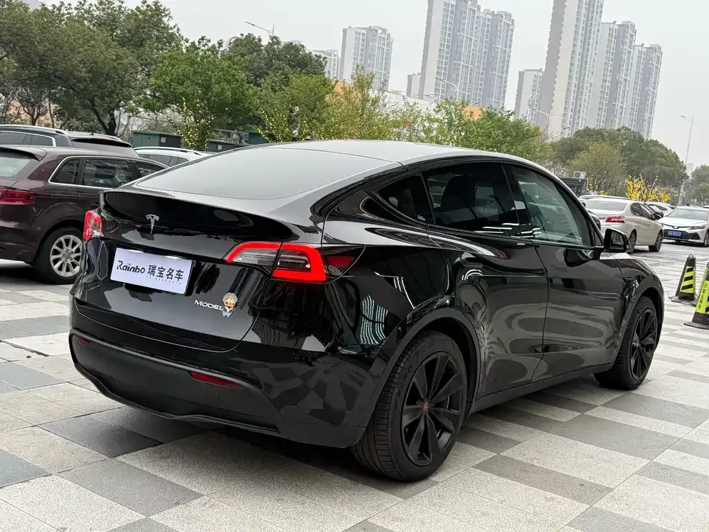 Tesla Model Y — фото 6