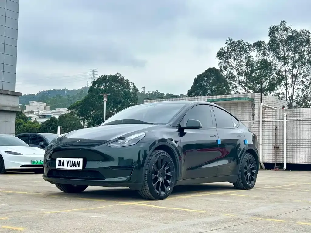 Tesla Model Y — фото 1