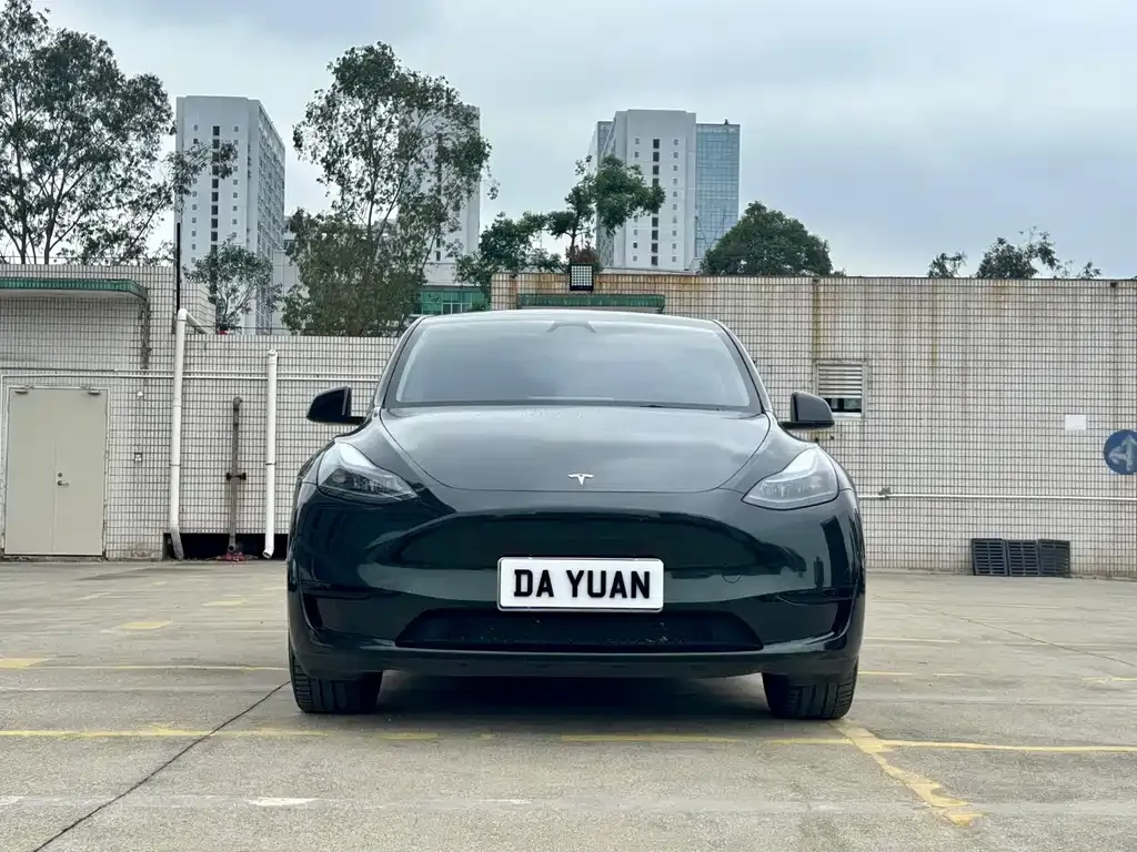 Tesla Model Y — фото 10