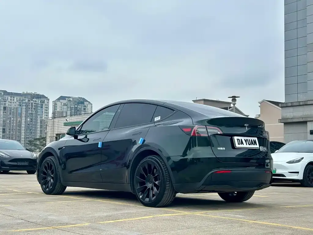 Tesla Model Y — фото 8