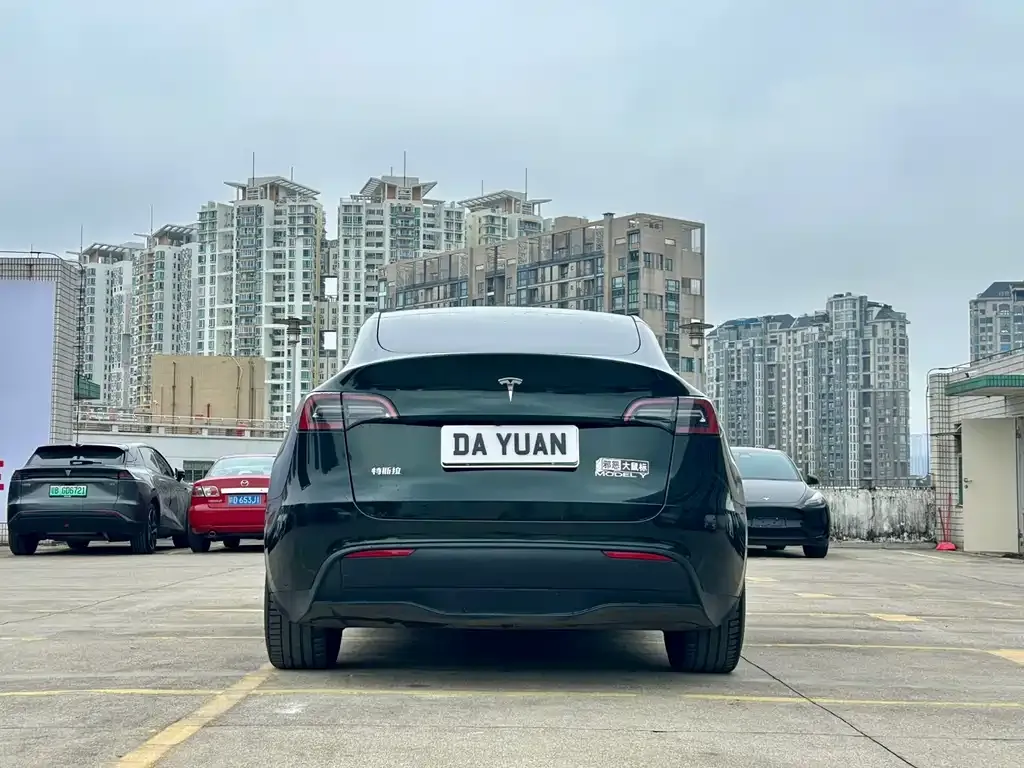 Tesla Model Y — фото 3