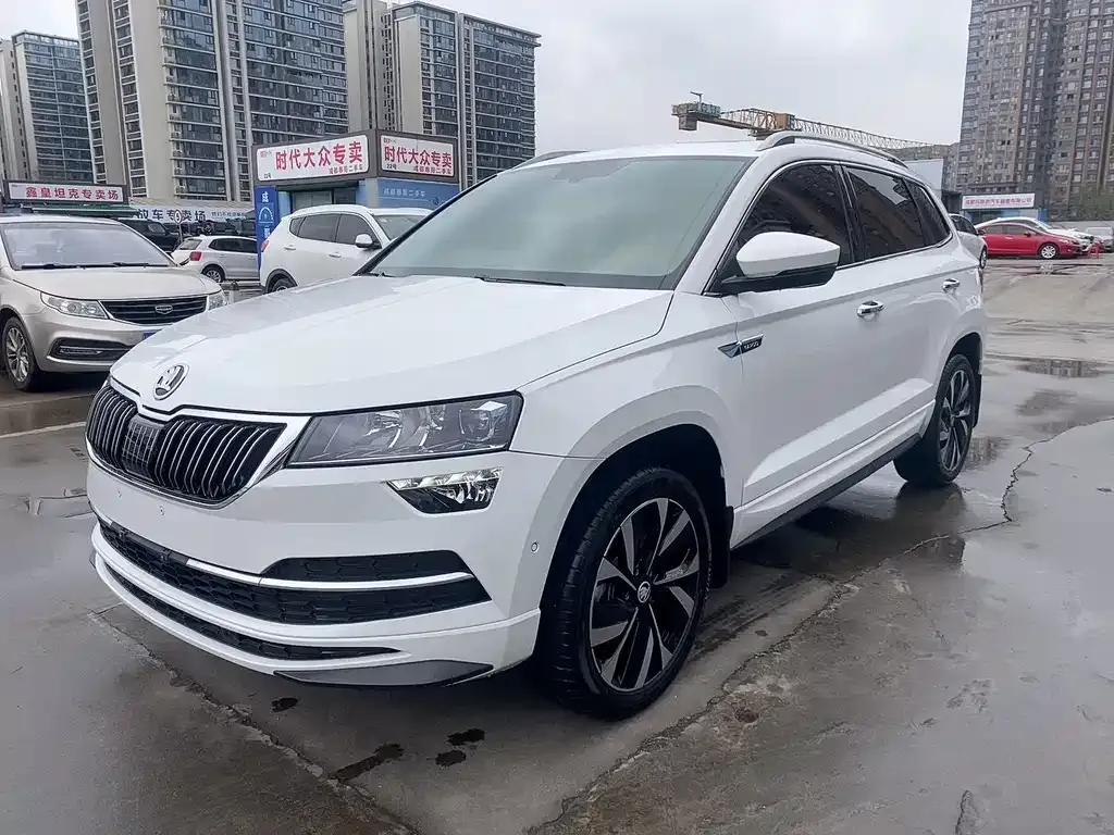 Skoda Karoq 2022 из CN, фото 1