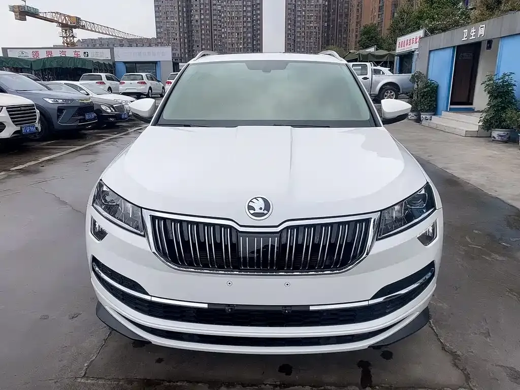 Skoda Karoq 2022 из CN, фото 2