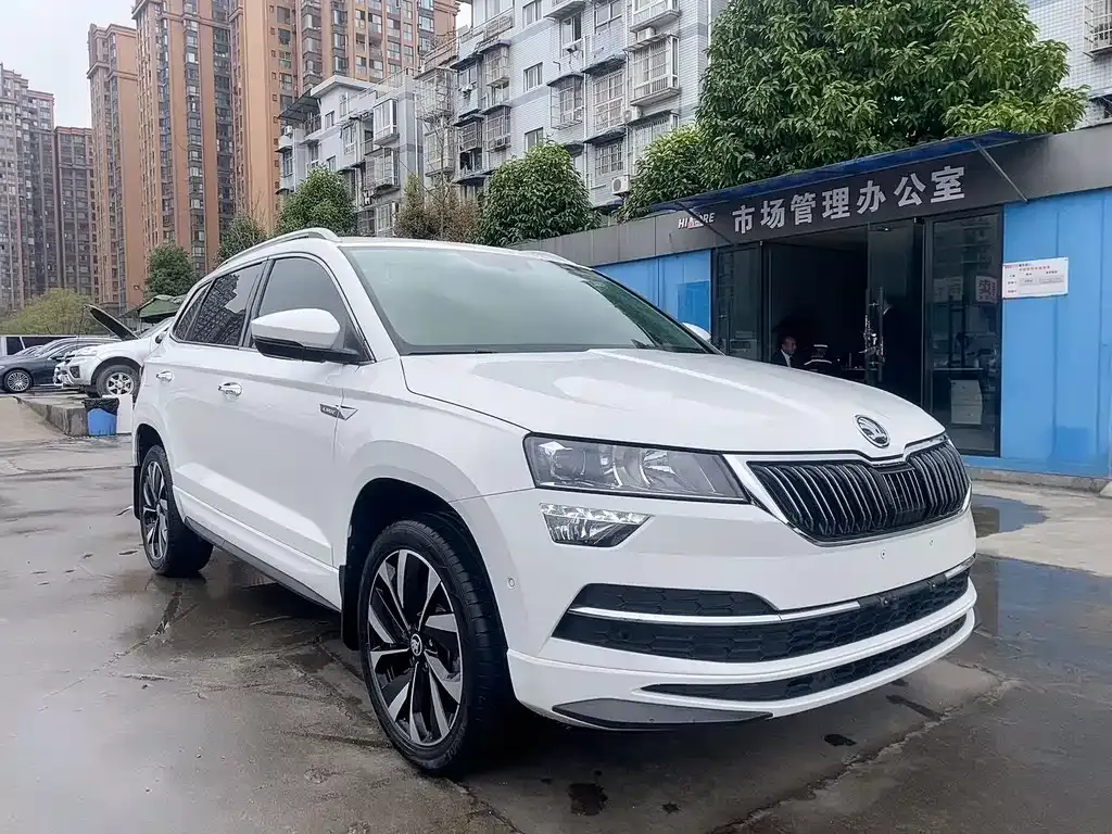 Skoda Karoq 2022 из CN, фото 6