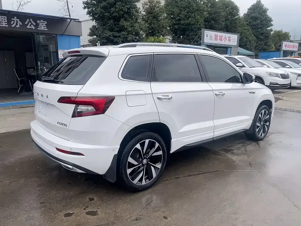 Skoda Karoq 2022 из CN, фото 3
