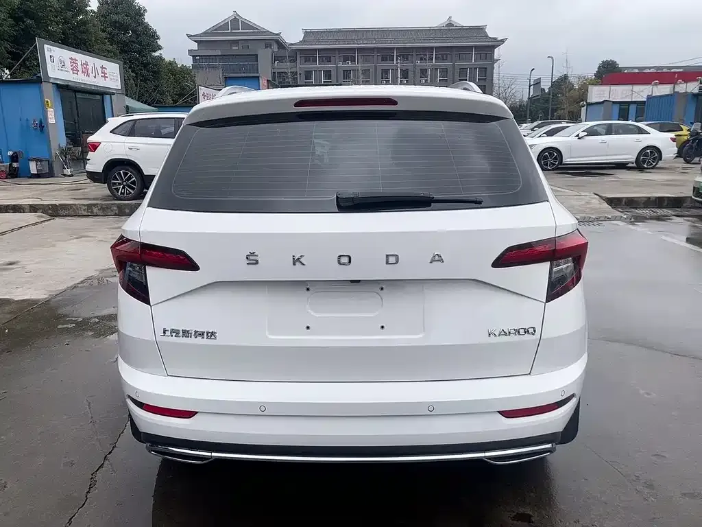 Skoda Karoq 2022 из CN, фото 8