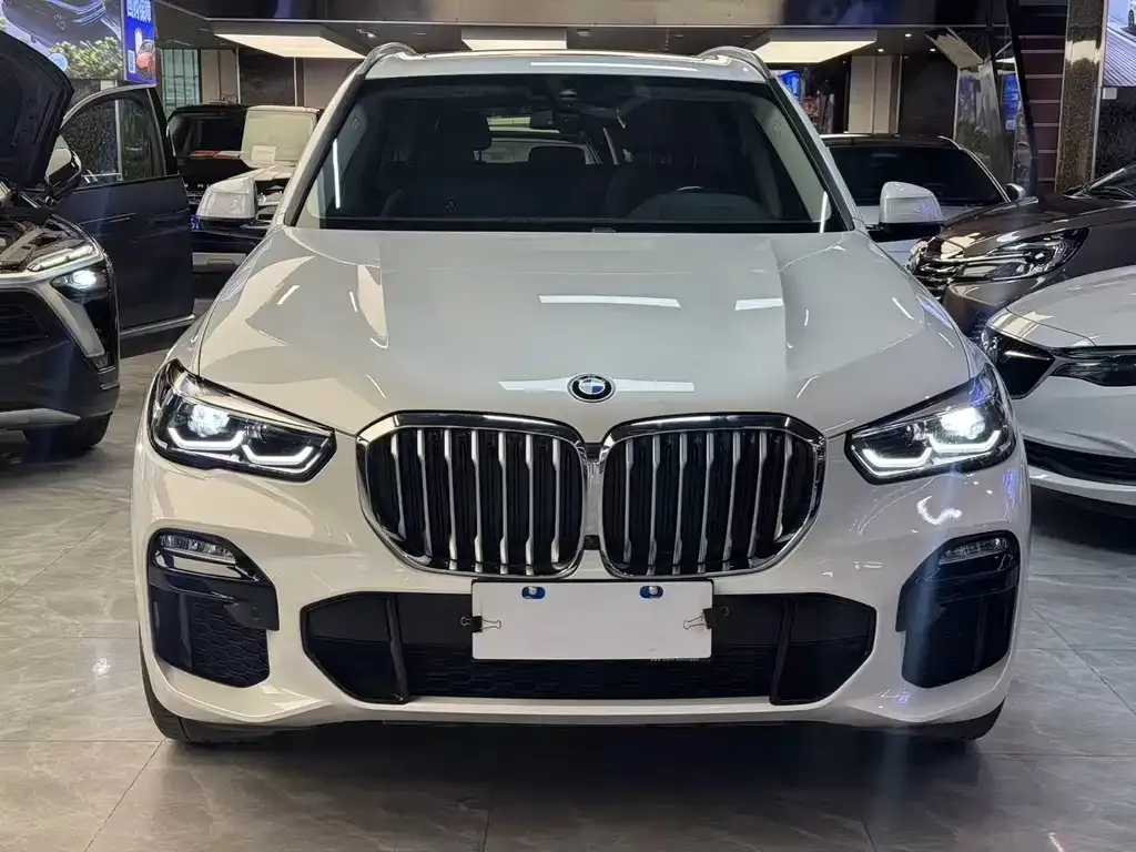 BMW X5 (Import) 2021 из CN, фото 2