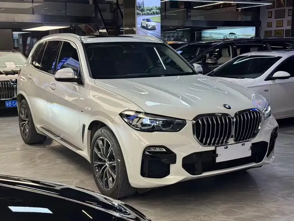 BMW X5 (Import) 2021 из CN, фото 5