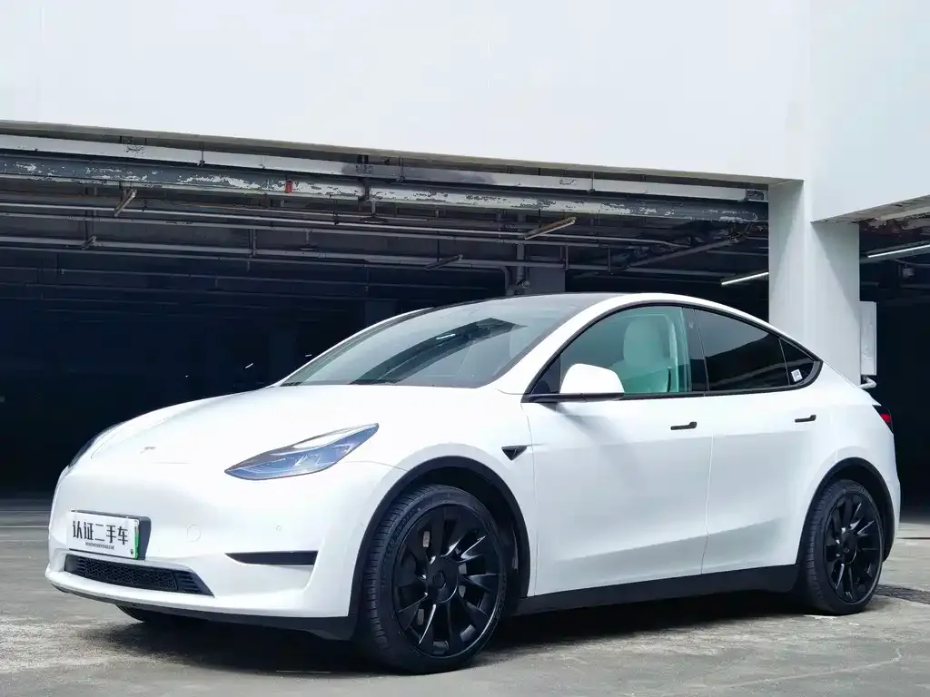 Tesla Model Y 2022 из CN, фото 1