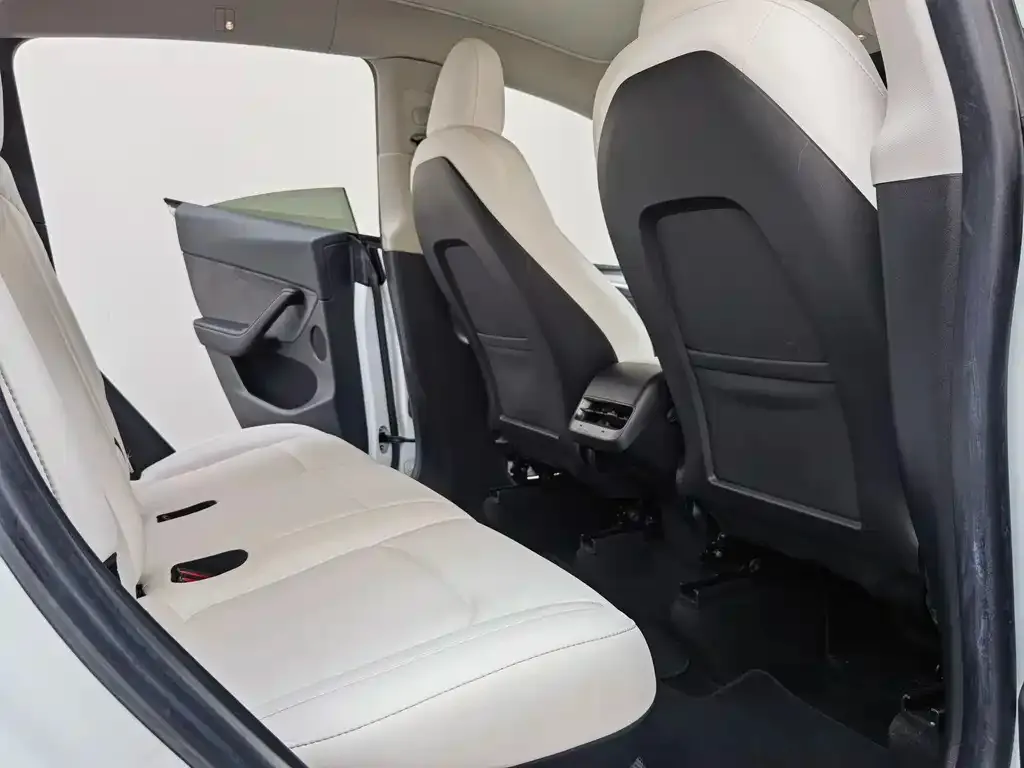 Tesla Model Y 2022 из CN, фото 9