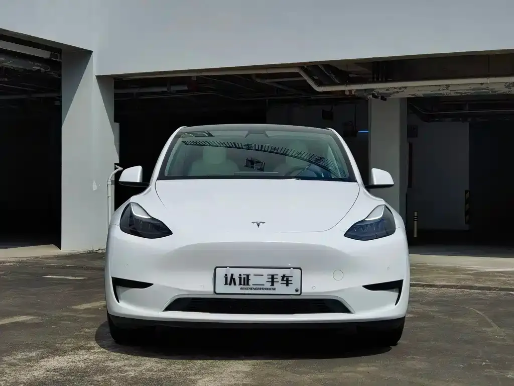 Tesla Model Y 2022 из CN, фото 6