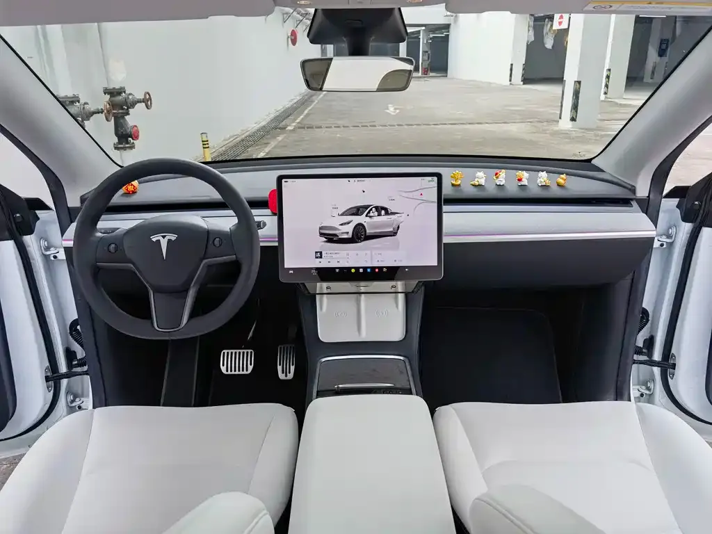 Tesla Model Y 2022 из CN, фото 4