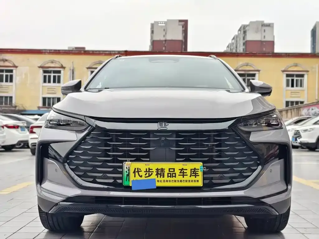 BYD Tang New Energy — фото 8