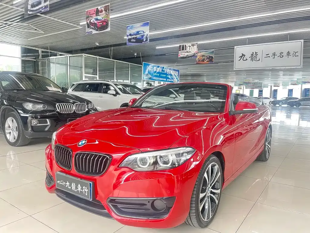 BMW 2 Series (Import)