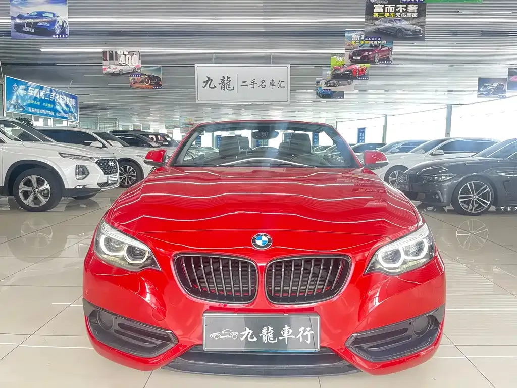 BMW 2 Series (Import) 2021 из CN, фото 2