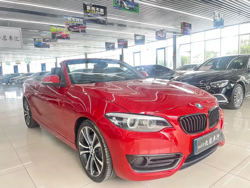 BMW 2 Series (Import) 2021 из CN, фото 6