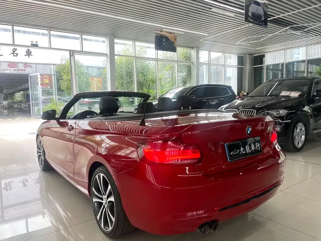 BMW 2 Series (Import) 2021 из CN, фото 7