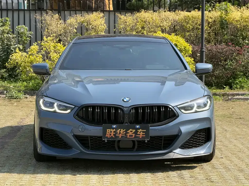 BMW 8 Series 2021 из CN, фото 7