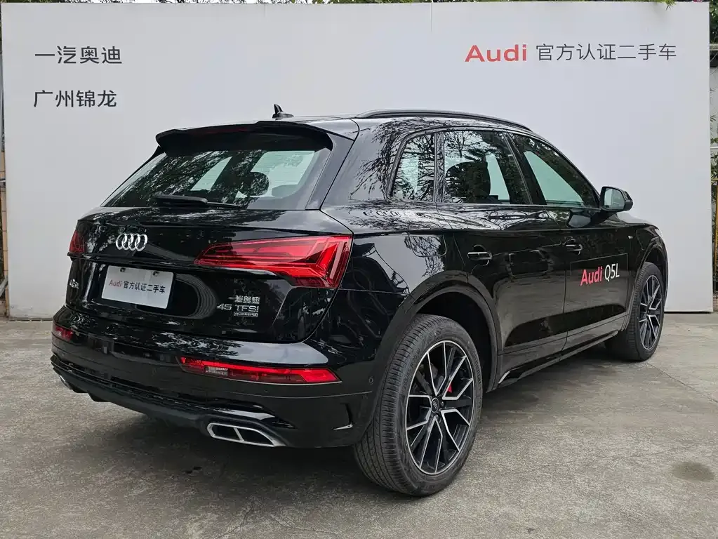Audi Q5L 2024 из CN, фото 9