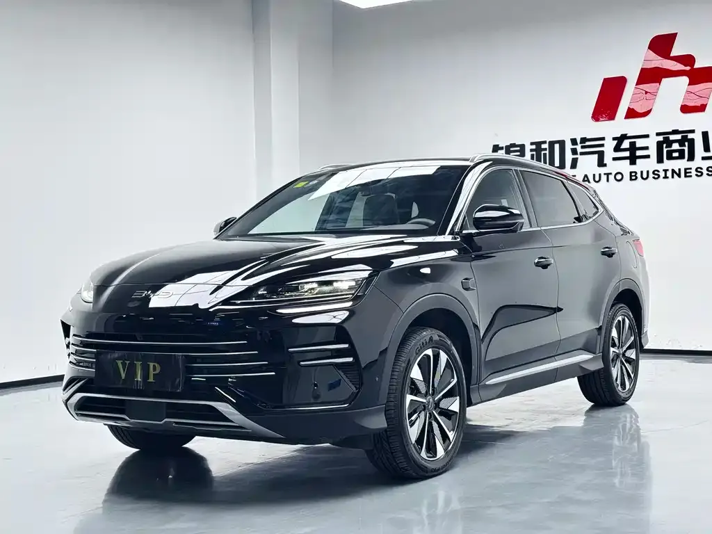 BYD PLUS New Energy 2025 из CN, фото 1