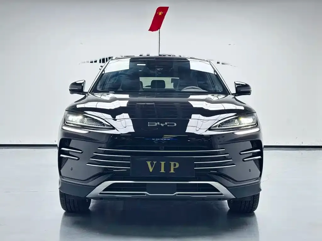 BYD PLUS New Energy 2025 из CN, фото 2