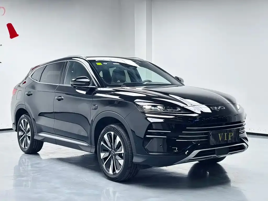 BYD PLUS New Energy 2025 из CN, фото 5