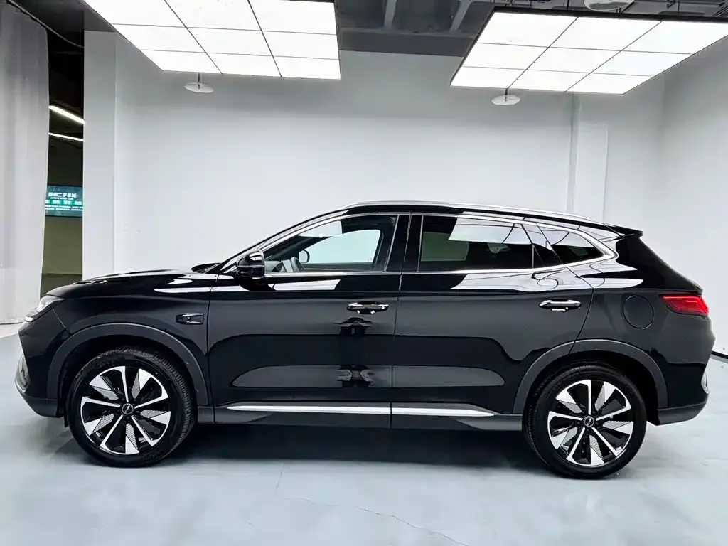 BYD PLUS New Energy 2025 из CN, фото 8