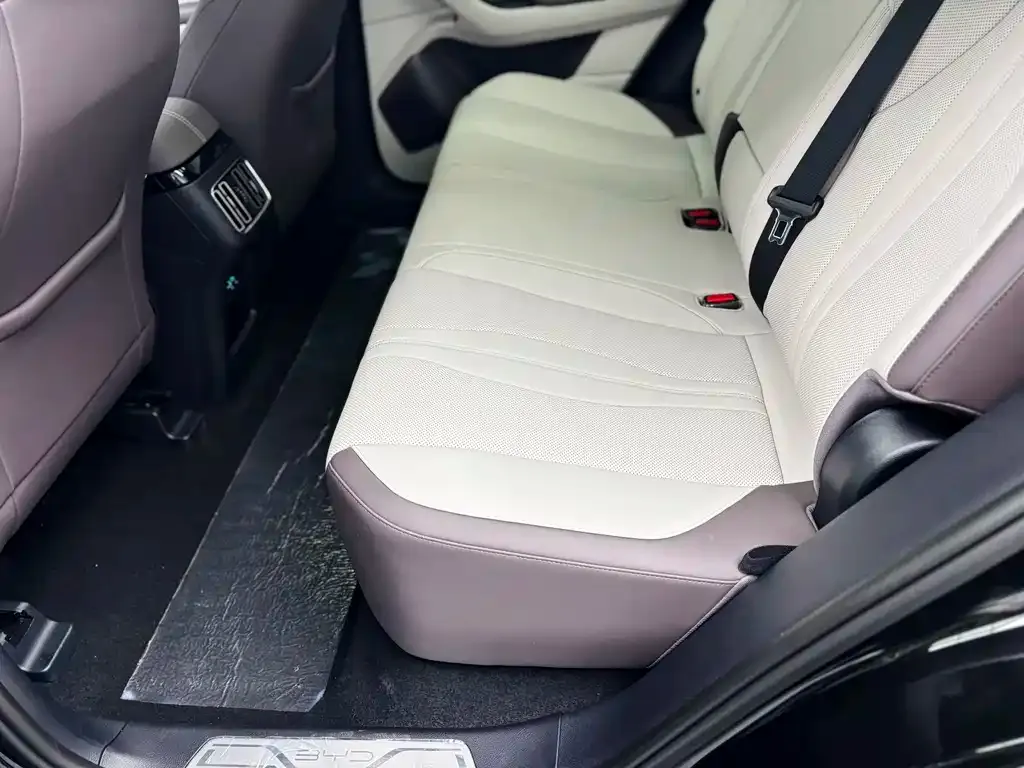 BYD PLUS New Energy 2025 из CN, фото 7