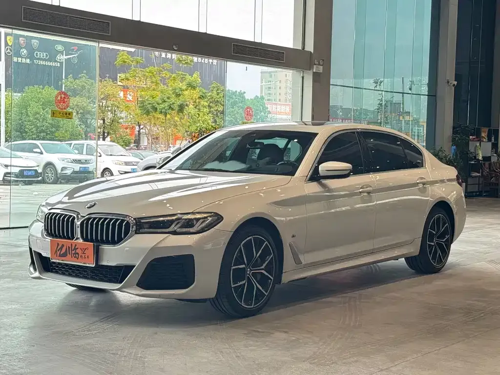 BMW 5 Series 2021 из CN, фото 1