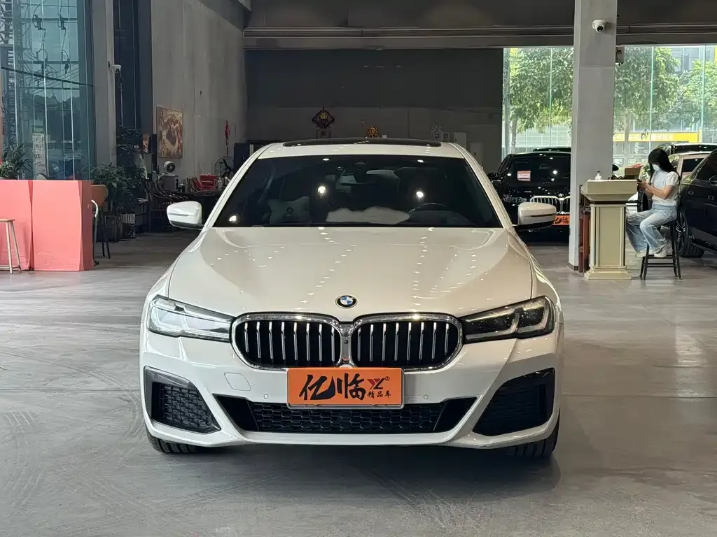 BMW 5 Series 2021 из CN, фото 5