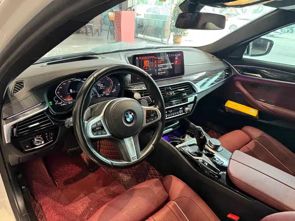 BMW 5 Series 2021 из CN, фото 7