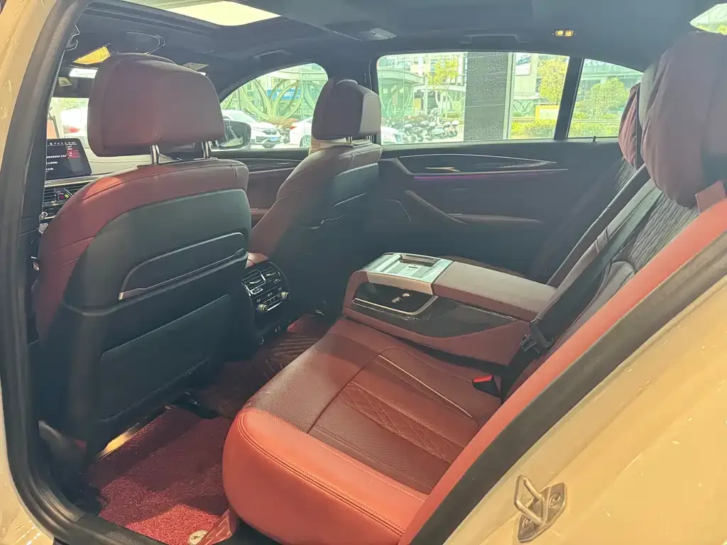 BMW 5 Series 2021 из CN, фото 4